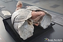 VBS_2657 - Polmoni di un non fumatore - Mostra Body Worlds